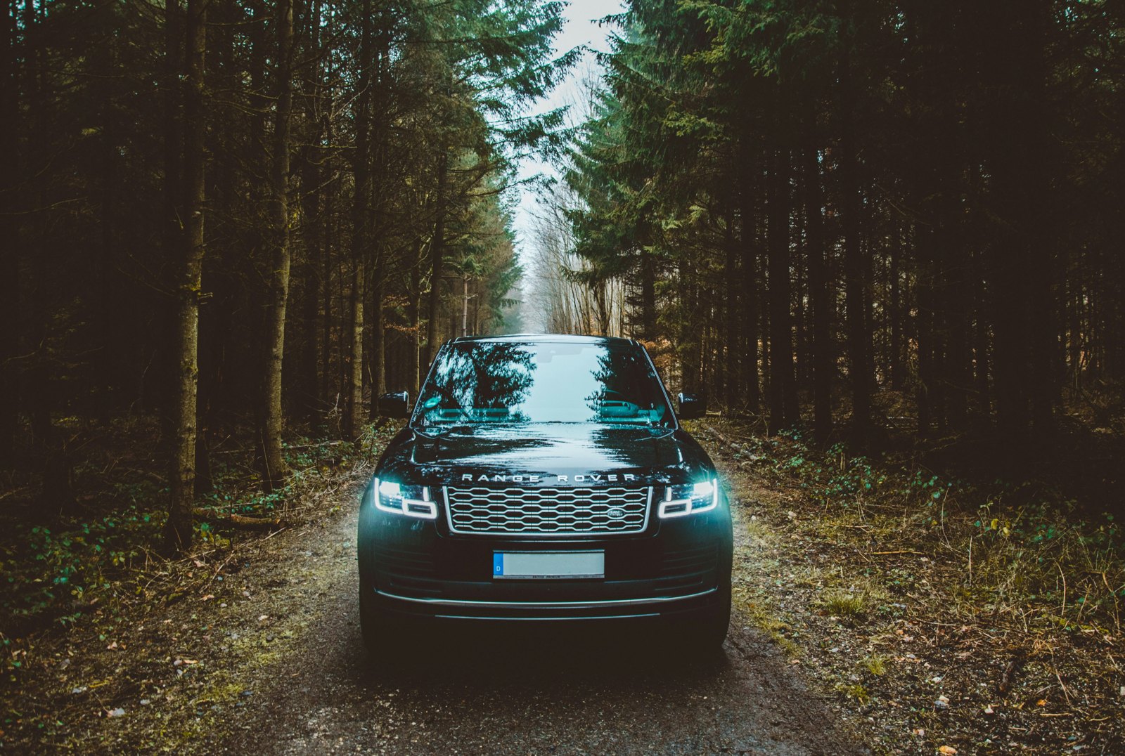 SUV vehicles